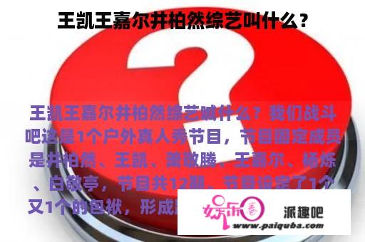 王凯王嘉尔井柏然综艺叫什么？