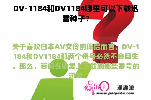 DV-1184和DV1184哪里可以下载迅雷种子？