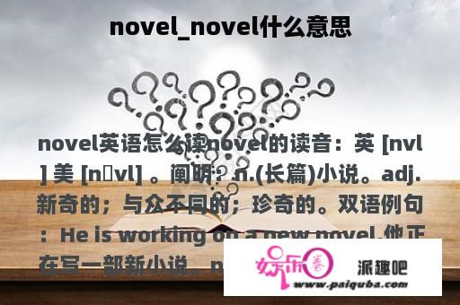 novel_novel什么意思