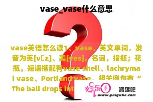 vase_vase什么意思