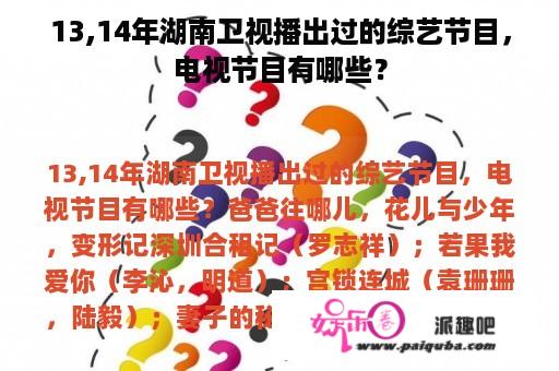 13,14年湖南卫视播出过的综艺节目，电视节目有哪些？