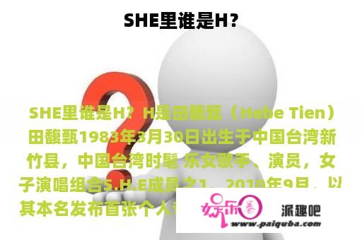 SHE里谁是H？