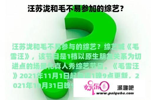 汪苏泷和毛不易参加的综艺？