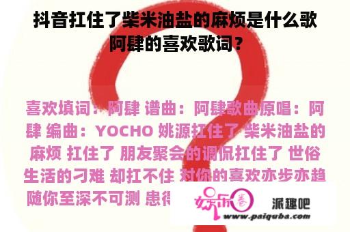 抖音扛住了柴米油盐的麻烦是什么歌阿肆的喜欢歌词？