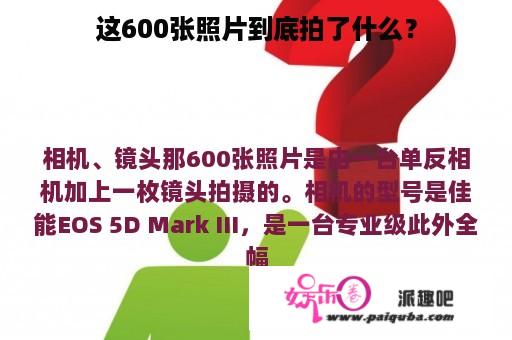 这600张照片到底拍了什么？