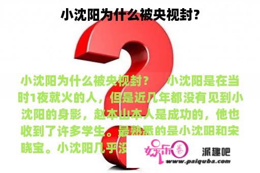 小沈阳为什么被央视封？