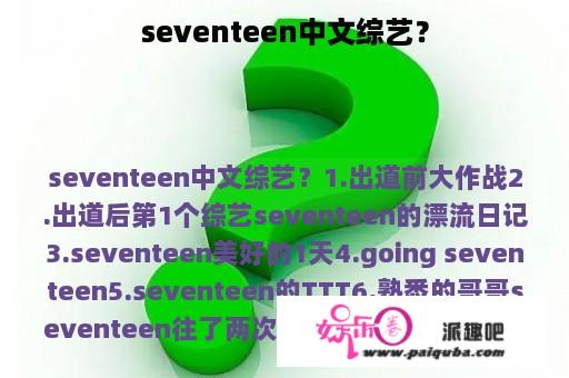 seventeen中文综艺？