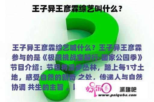 王子异王彦霖综艺叫什么？