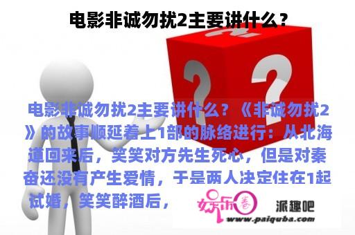 电影非诚勿扰2主要讲什么？