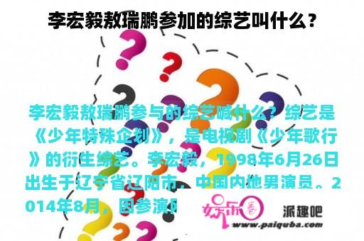 李宏毅敖瑞鹏参加的综艺叫什么？