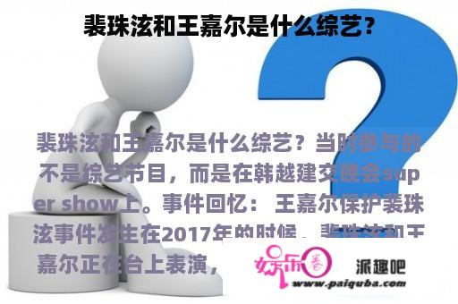 裴珠泫和王嘉尔是什么综艺？