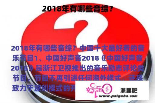 2018年有哪些音综？