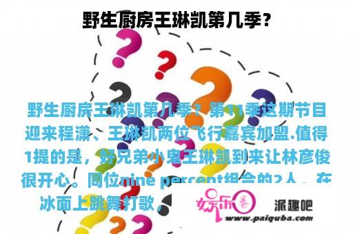 野生厨房王琳凯第几季？