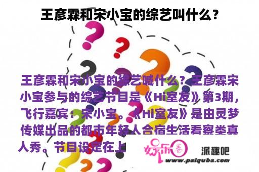 王彦霖和宋小宝的综艺叫什么？