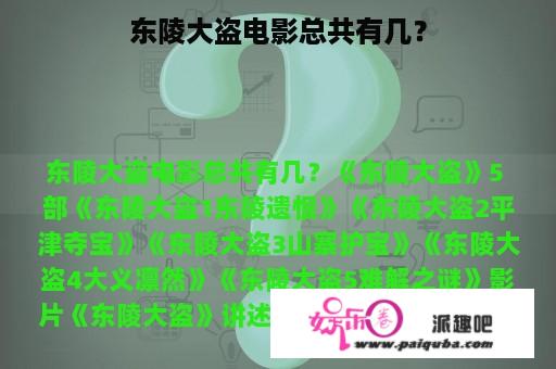 东陵大盗电影总共有几？