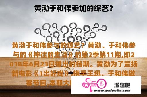 黄渤于和伟参加的综艺？