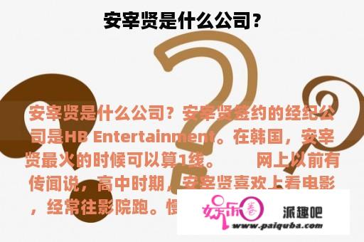 安宰贤是什么公司？