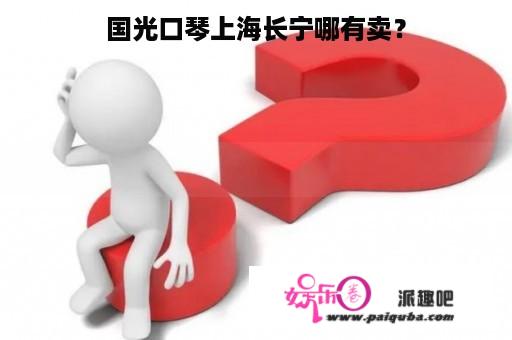 国光口琴上海长宁哪有卖？