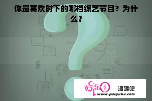 你最喜欢时下的哪档综艺节目？为什么？