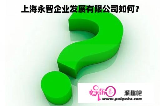 上海永智企业发展有限公司如何？