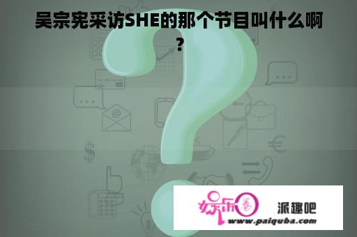 吴宗宪采访SHE的那个节目叫什么啊？