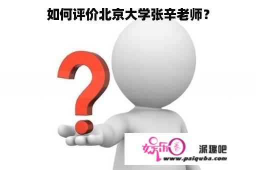 如何评价北京大学张辛老师？