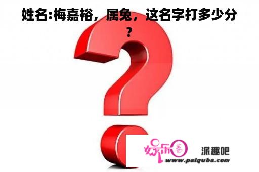 姓名:梅嘉裕，属兔，这名字打多少分?