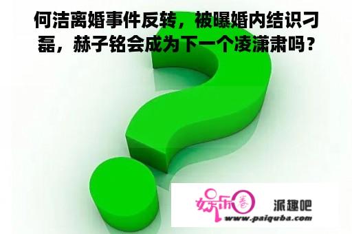 何洁离婚事件反转，被曝婚内结识刁磊，赫子铭会成为下一个凌潇肃吗？