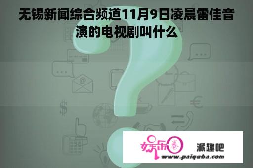 无锡新闻综合频道11月9日凌晨雷佳音演的电视剧叫什么