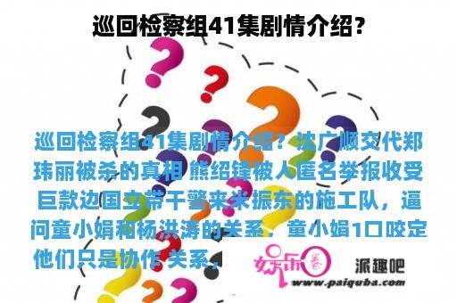 巡回检察组41集剧情介绍？