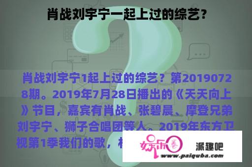 肖战刘宇宁一起上过的综艺？