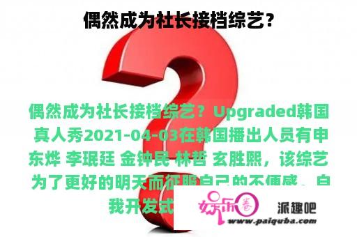 偶然成为社长接档综艺？