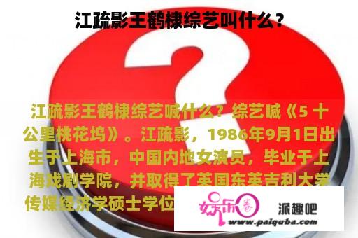 江疏影王鹤棣综艺叫什么？