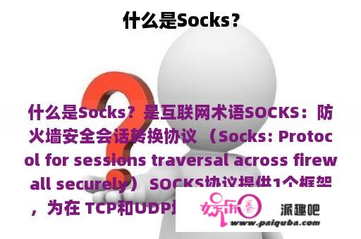 什么是Socks？