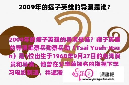 2009年的痞子英雄的导演是谁？