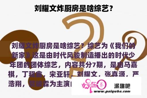 刘耀文炸厨房是啥综艺？