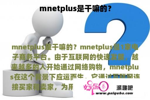 mnetplus是干嘛的？