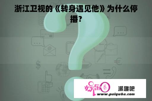 浙江卫视的《转身遇见他》为什么停播？