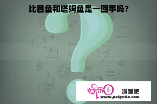 比目鱼和塔姆鱼是一回事吗？