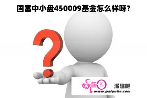 国富中小盘450009基金怎么样呀？