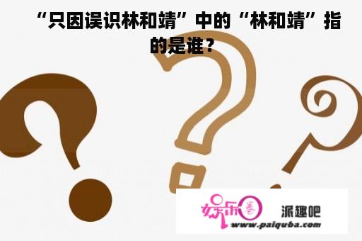 “只因误识林和靖”中的“林和靖”指的是谁？