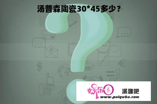 汤普森陶瓷30*45多少？