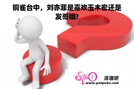 铜雀台中，刘亦菲是喜欢玉木宏还是发哥哦?