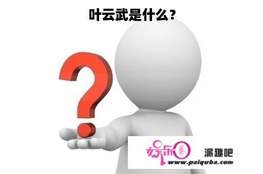 叶云武是什么？