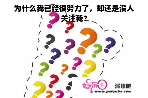 为什么我已经很努力了，却还是没人关注我？