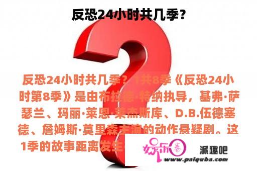 反恐24小时共几季？