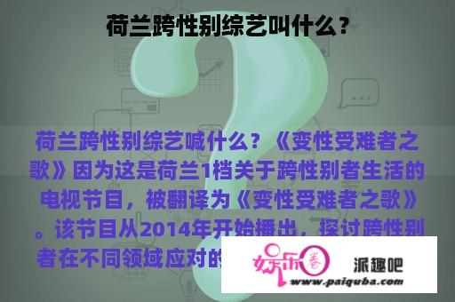 荷兰跨性别综艺叫什么？