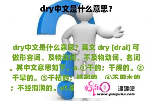 dry中文是什么意思？