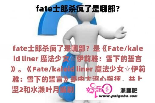 fate士郎杀疯了是哪部？