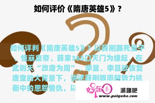 如何评价《隋唐英雄5》？